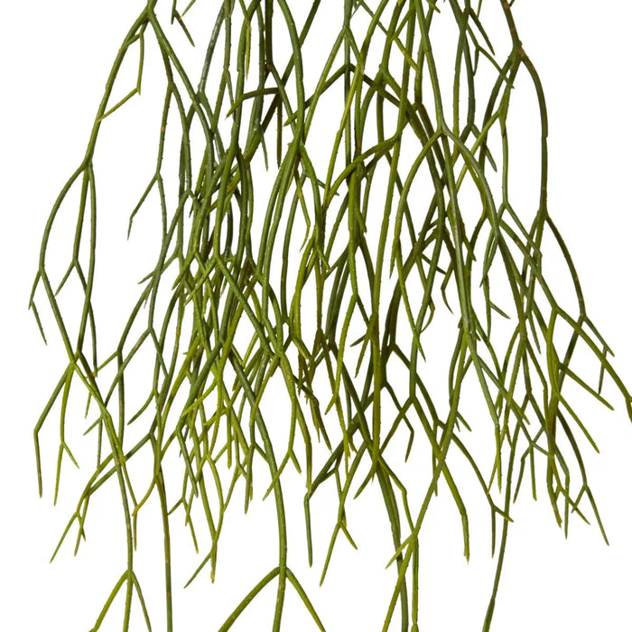 Cactus Plant Pencil