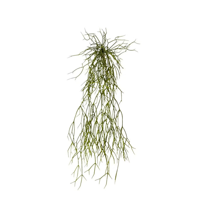Cactus Plant Pencil