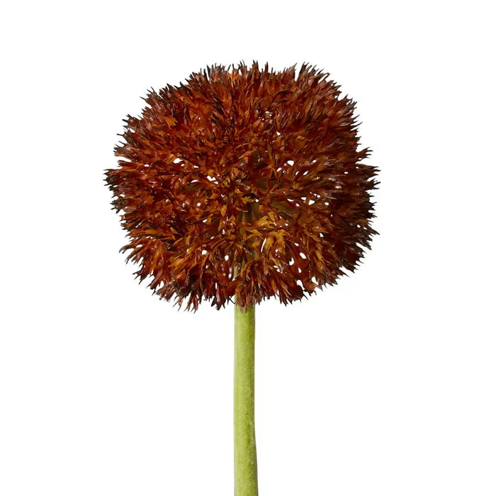 Globebloom Wand
