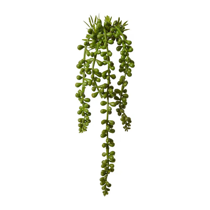 Emerald Bead Hanging Plant