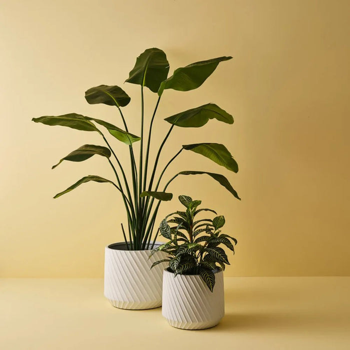 Alpine Pot - Biku Furniture & Homewares