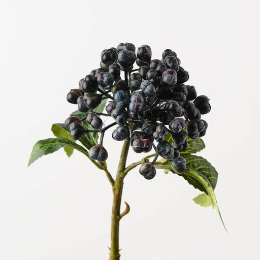 Berry Harvest - Biku Furniture & Homewares