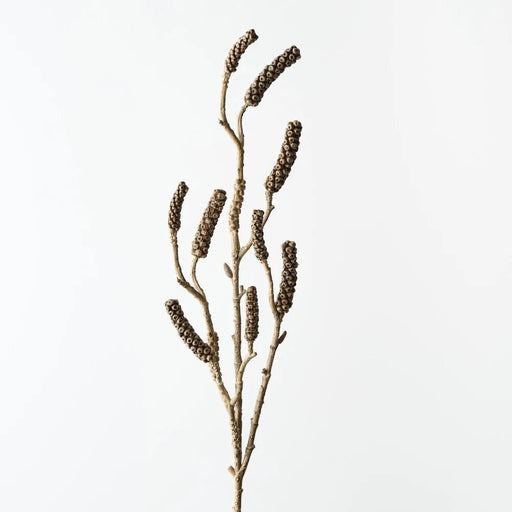 Bottlebrush Pod Spray - Biku Furniture & Homewares
