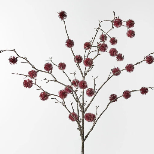 Brogon Spray - Biku Furniture & Homewares