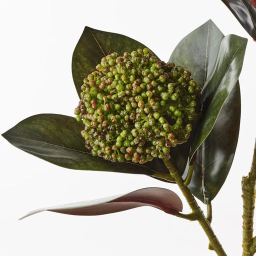 Burgundy Solstice Magnolia Spray - Biku Furniture & Homewares