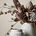 Buttonwood Branch - Biku Furniture & Homewares