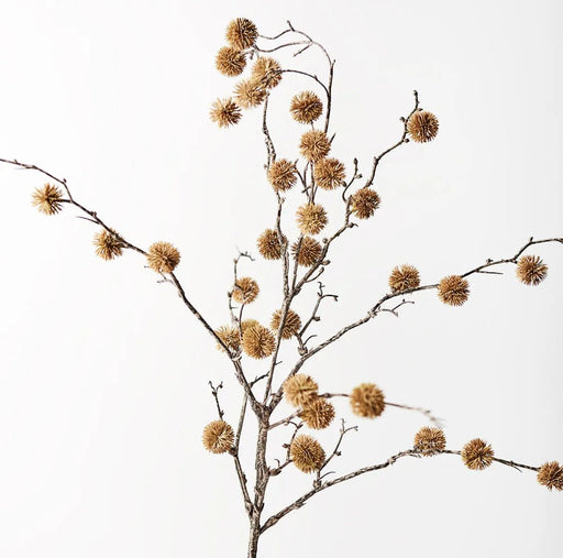 Buttonwood Branch - Biku Furniture & Homewares