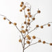 Buttonwood Branch - Biku Furniture & Homewares