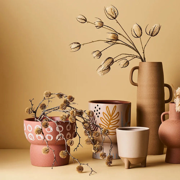 Buttonwood Branch - Biku Furniture & Homewares