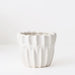 Caelum Pot - Biku Furniture & Homewares