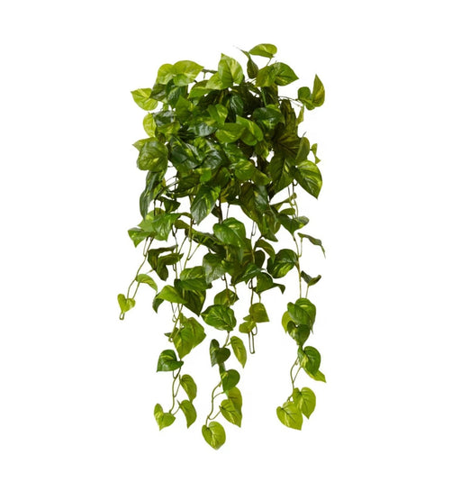 Cascade Philo Hanging Vine - Biku Furniture & Homewares