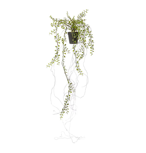Cascade Vine Hanging Bush - Biku Furniture & Homewares