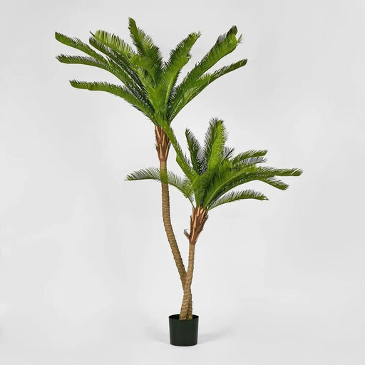 Cycus Palm w 2058 Leaves 1.5 - Biku Furniture & Homewares