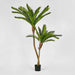 Cycus Palm w 2058 Leaves 1.5 - Biku Furniture & Homewares