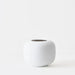 Elysra Pot - Biku Furniture & Homewares