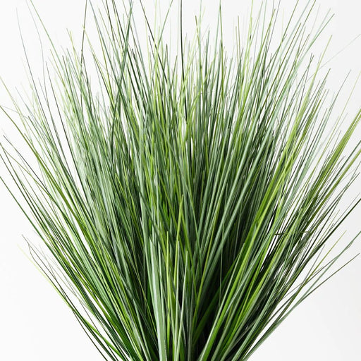 Grass Onion Plant - Biku Furniture & Homewares