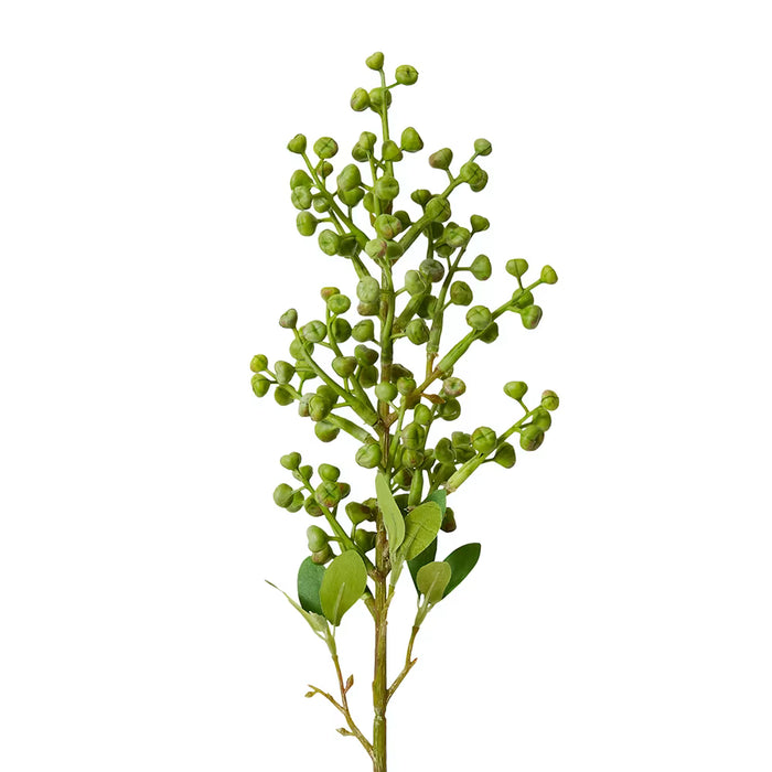 Eucy Nut Pick