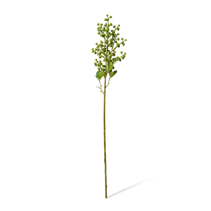 Eucy Nut Pick