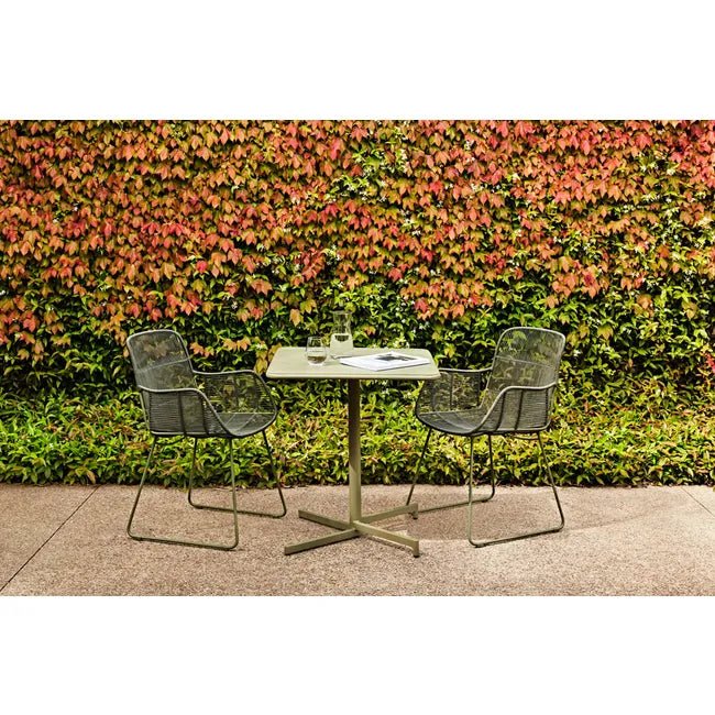 Harbor Leisure Dining Chair - Biku Furniture & Homewares