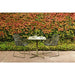 Harbor Leisure Dining Chair - Biku Furniture & Homewares