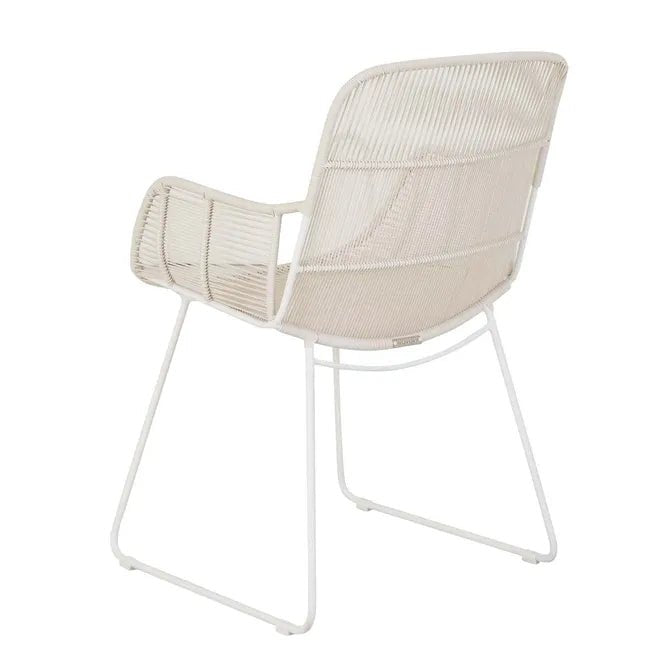 Harbor Leisure Dining Chair - Biku Furniture & Homewares