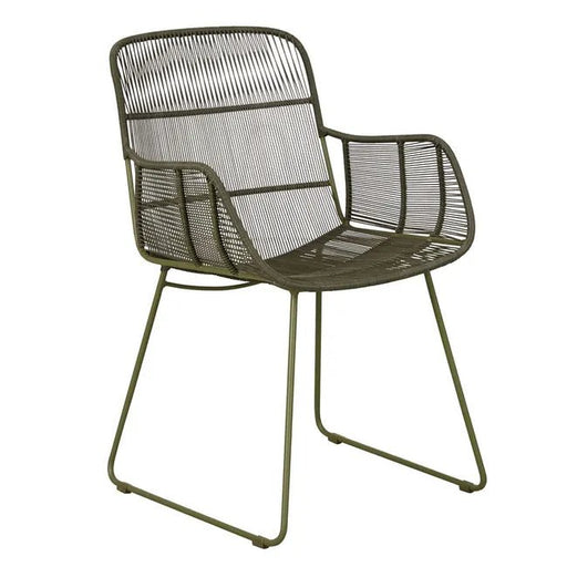Harbor Leisure Dining Chair - Moss - Moss - Biku Furniture & Homewares
