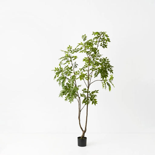 Japanese Lacquer Tree - Biku Furniture & Homewares