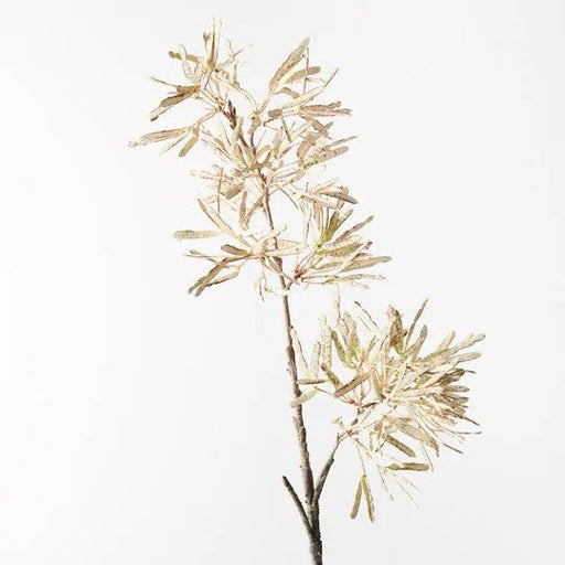 Jequirity Berry Spray - Biku Furniture & Homewares