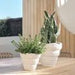 Krito Pot Wh - Biku Furniture & Homewares