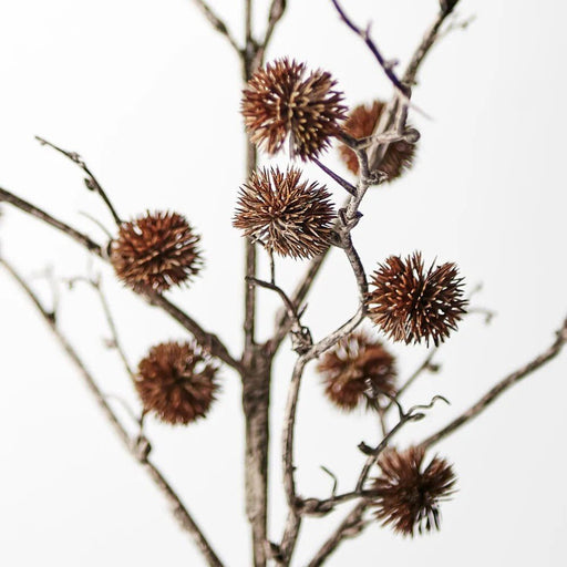 Masim Spray - Biku Furniture & Homewares