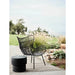 Mauritius Wing Occasional Chair - Biku Furniture & Homewares