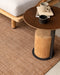 Mira PET Outdoor Rug – Cumin - Biku Furniture & Homewares