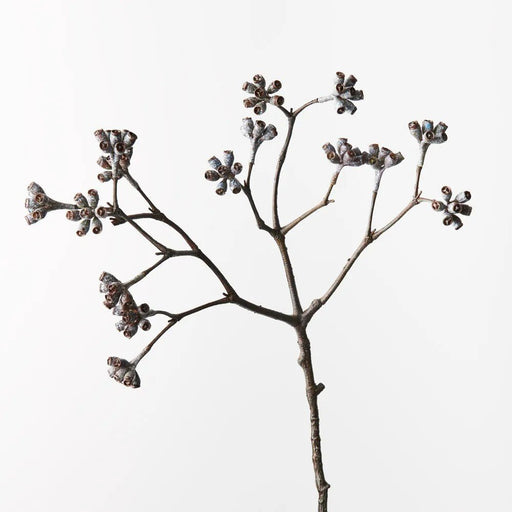 Misty Eucalyptus Cluster - Biku Furniture & Homewares