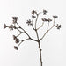 Misty Eucalyptus Cluster - Biku Furniture & Homewares