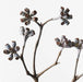 Misty Eucalyptus Cluster - Biku Furniture & Homewares