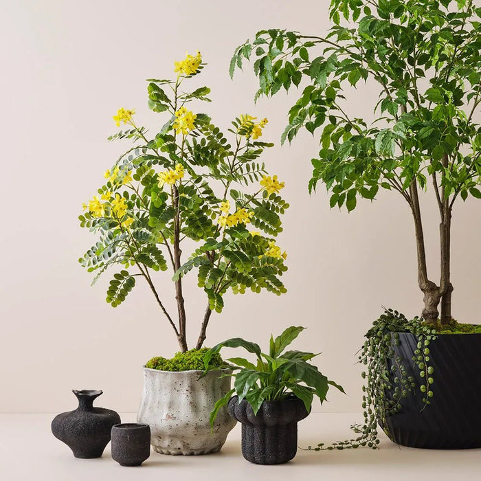 Obsidian Garden Pot - Biku Furniture & Homewares