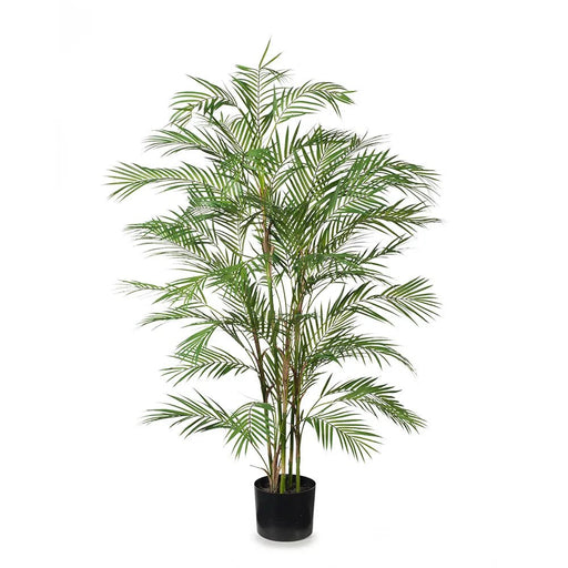 Phoenix Palm Tree - Biku Furniture & Homewares