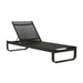 Pier Curve Sunbed - Biku Furniture & Homewares