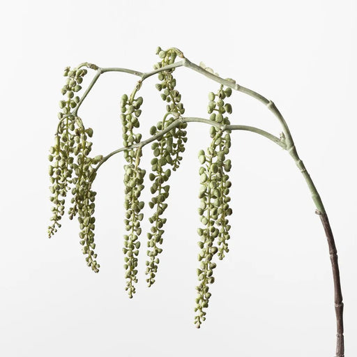 Pokeberry Spray - Biku Furniture & Homewares