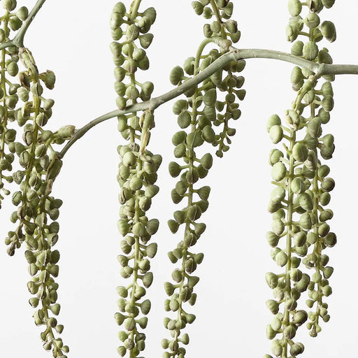 Pokeberry Spray - Biku Furniture & Homewares