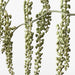 Pokeberry Spray - Biku Furniture & Homewares