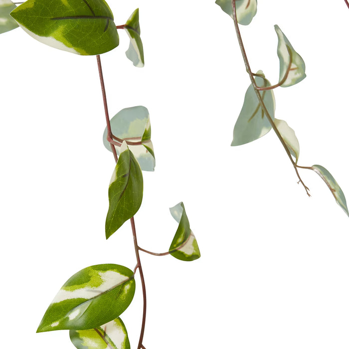 Faux Hoya Potted Plant Green
