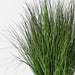 Prairie Grass Display - Biku Furniture & Homewares
