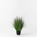 Prairie Grass Display - Biku Furniture & Homewares