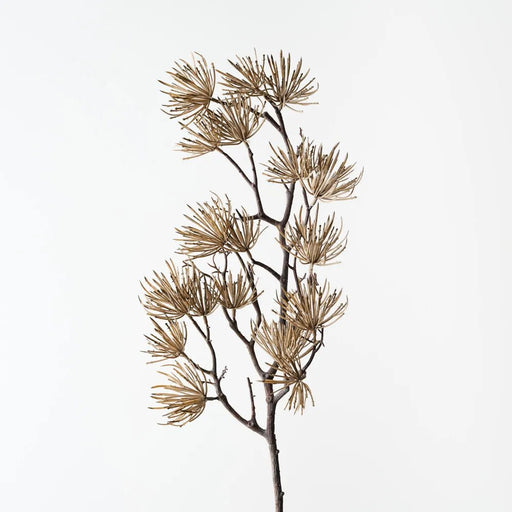 Prickle Stem - Biku Furniture & Homewares