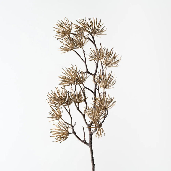 Prickle Stem - Biku Furniture & Homewares