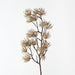 Prickle Stem - Biku Furniture & Homewares