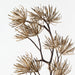 Prickle Stem - Biku Furniture & Homewares