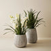 Restler Pot - Biku Furniture & Homewares