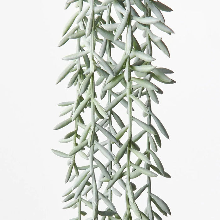 Silvra Banana String Bush - Biku Furniture & Homewares